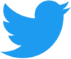 Twitter icon